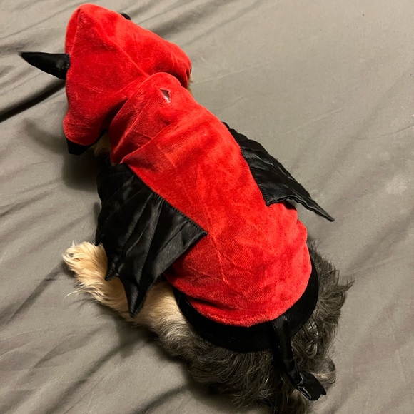 Martha Stewart Red Devil Pet Costume - Picture 9 of 9